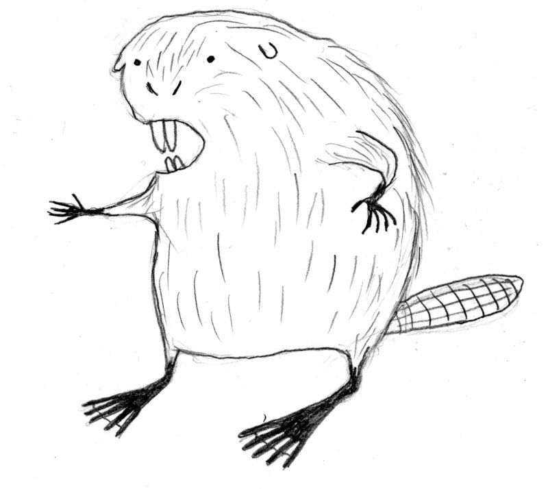 Рисунок бобра
