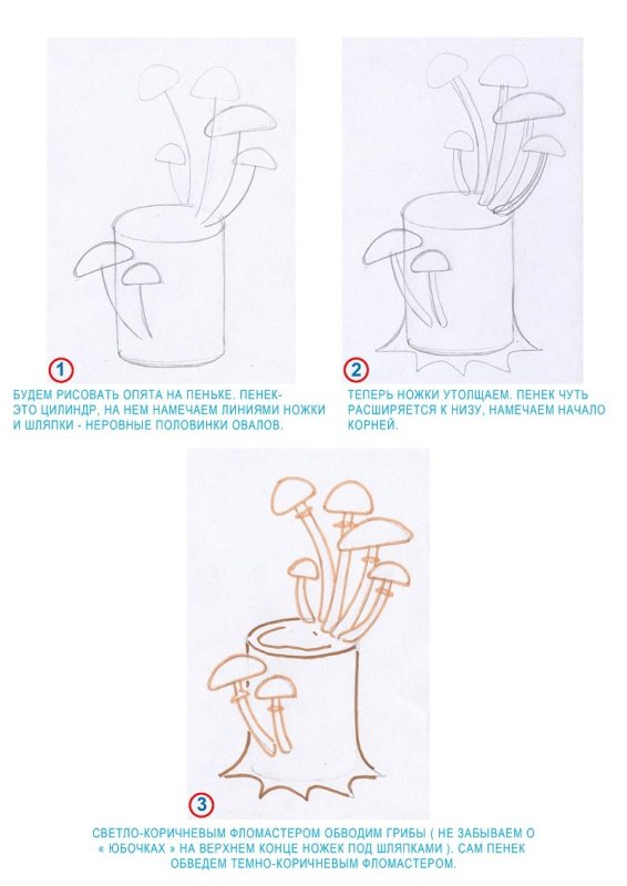 Нарисовать опёнок гриб поэтапно