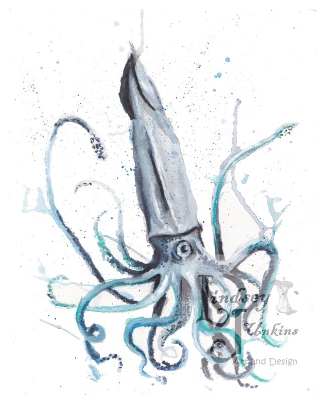 Кальмар акварель