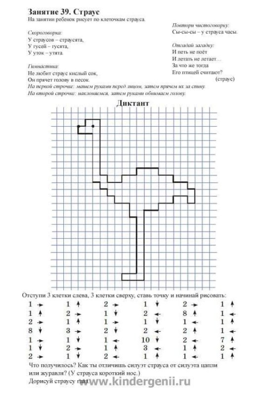 Математический диктант по клеточкам для дошкольников 6-7