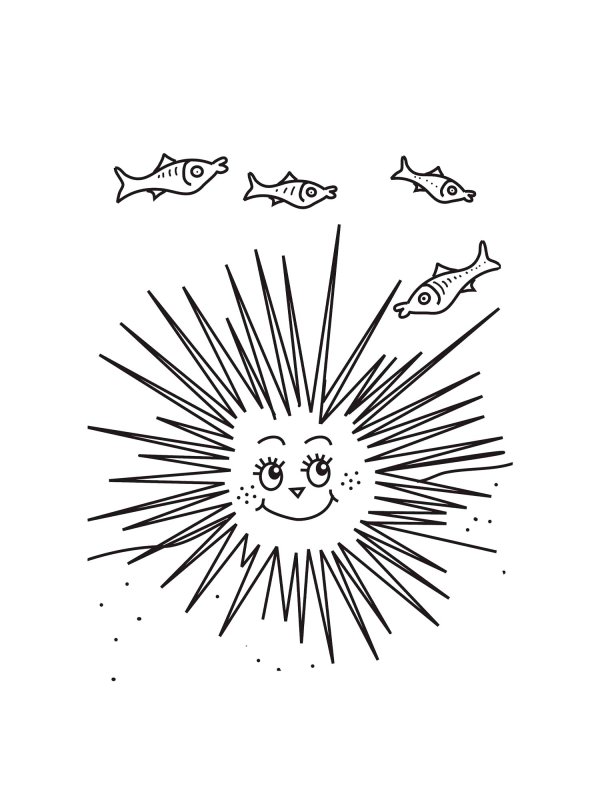 Морской еж раскраска для детей