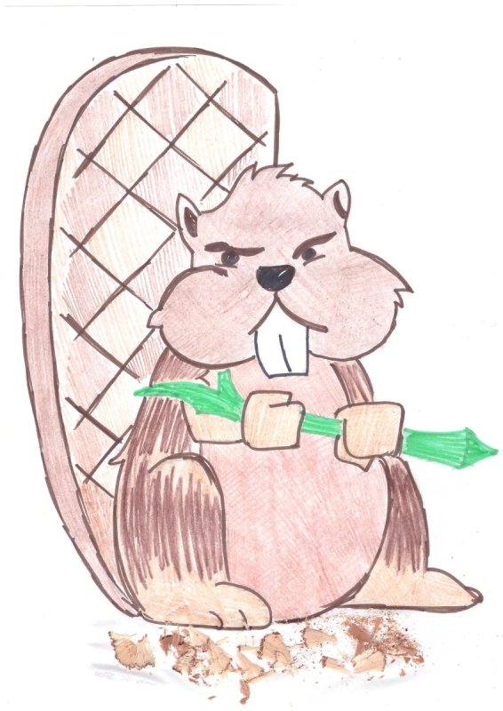 бобер рисунок для детей