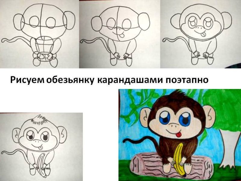 Как нарисовать обезьянку
