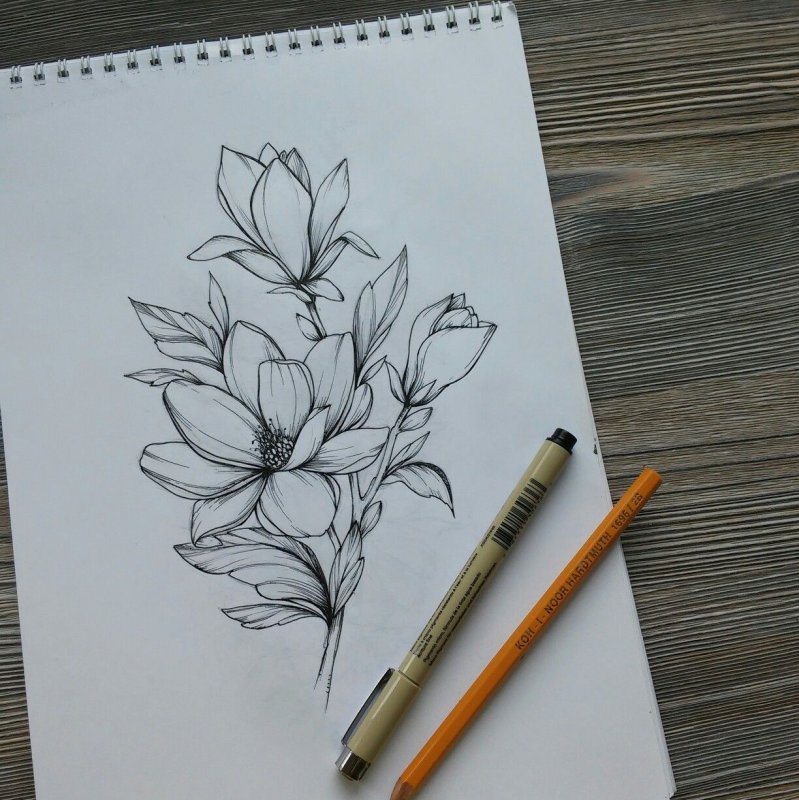 Рисунки линером