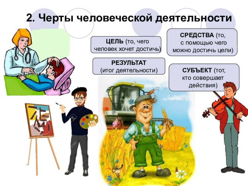 Человек и его деятельность