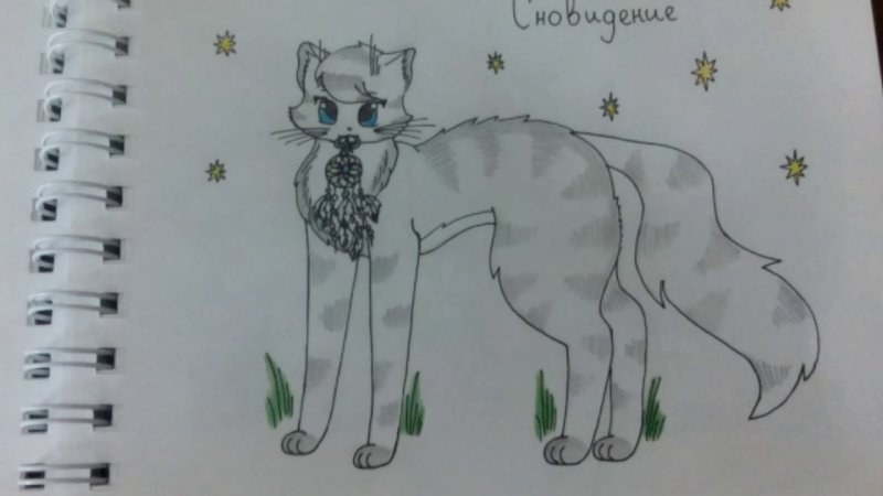 Кот воитель рисунок