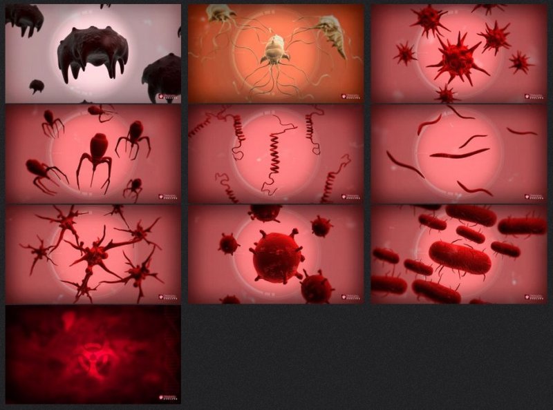 Plague Inc арты
