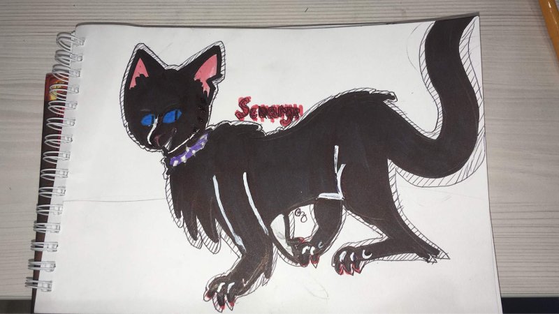 Коты-Воители Бич скетчбук