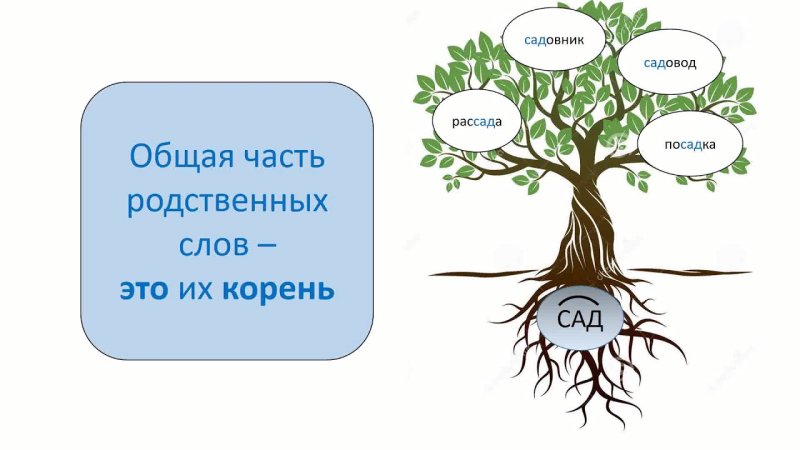 Однокоренные родственные слова