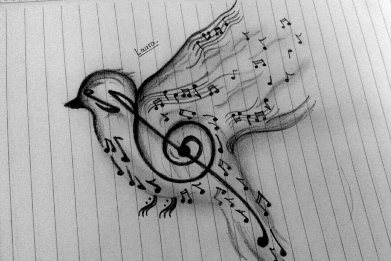 Музыкальные рисунки карандашом
