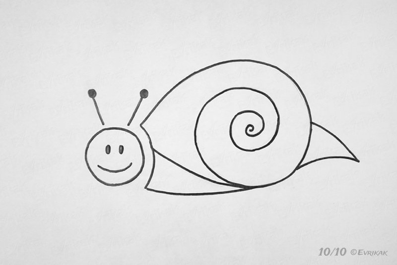 улитка рисунок карандашом для срисовки