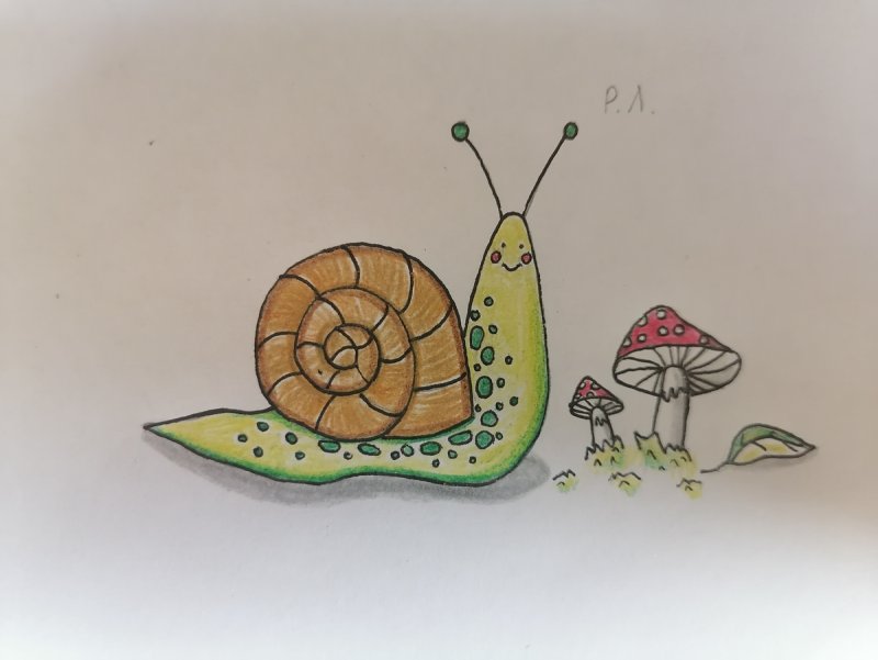 улитка для срисовки