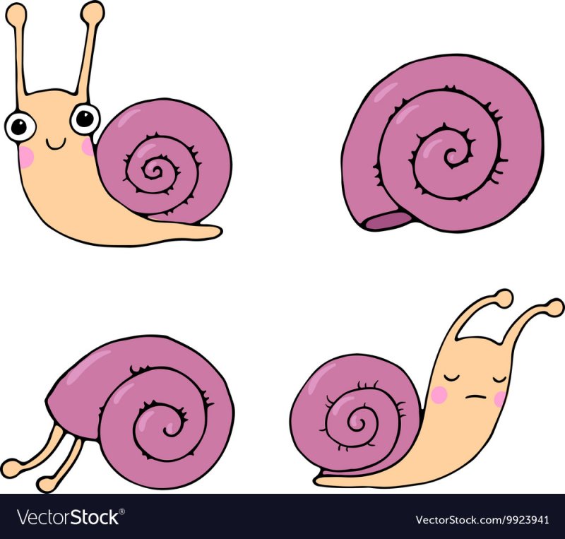 улитка иллюстрация