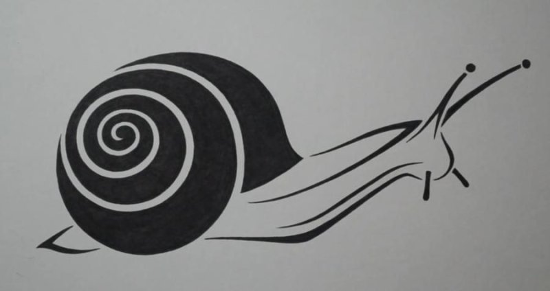 силуэт улитки