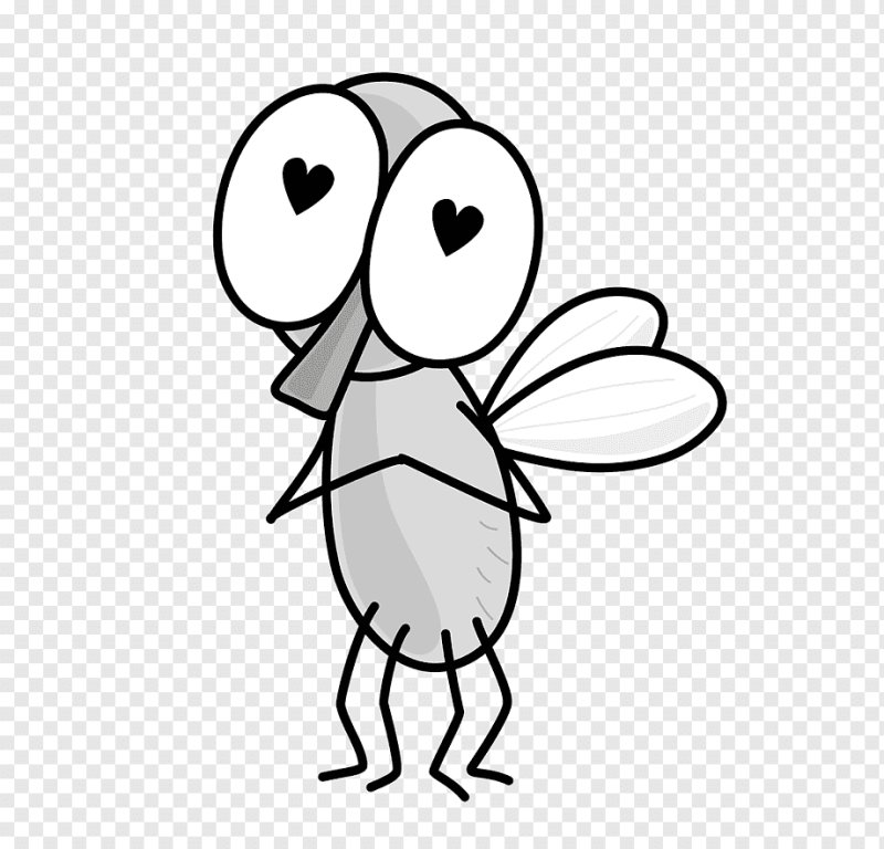 насекомое муха