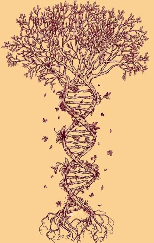 Иггдрасиль Неметон