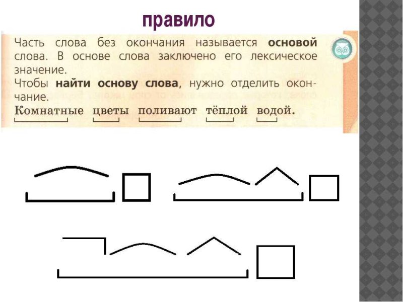 Схема приставка корень суффикс суффикс