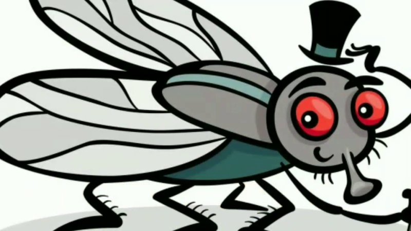 муха для детей