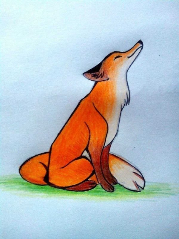 Рисунок лисы для срисовки