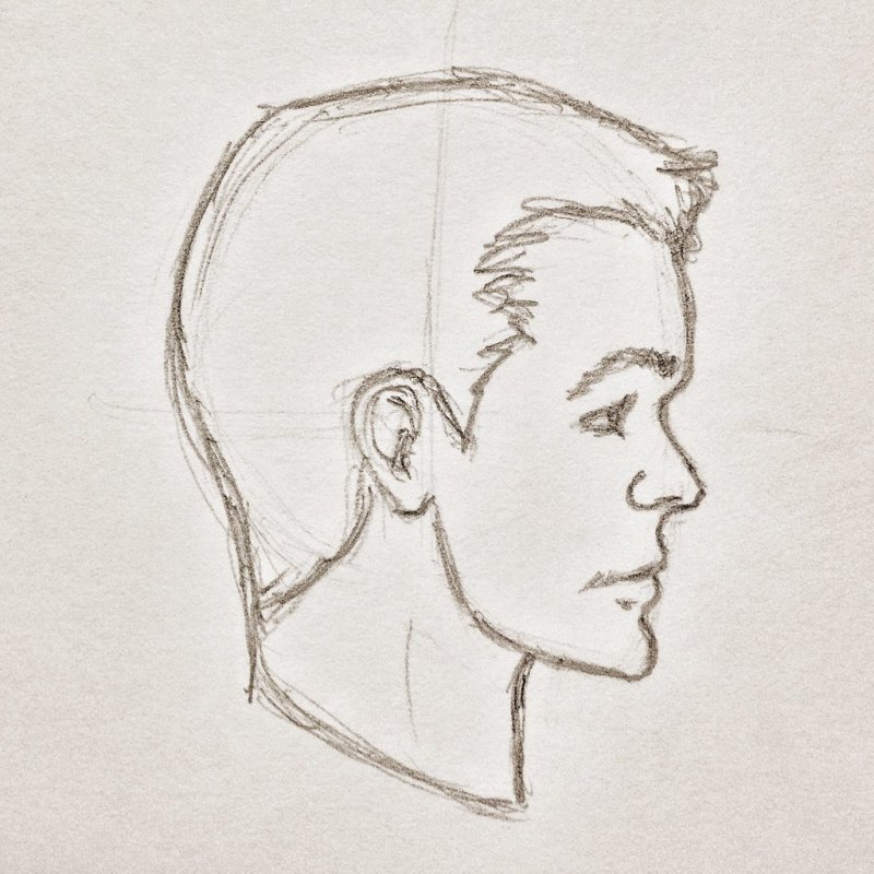 Профиль рисунок