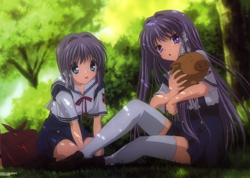 кё фудзибаяси