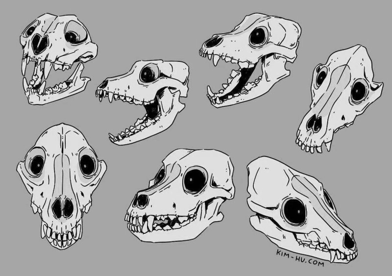 Skull Dog референс