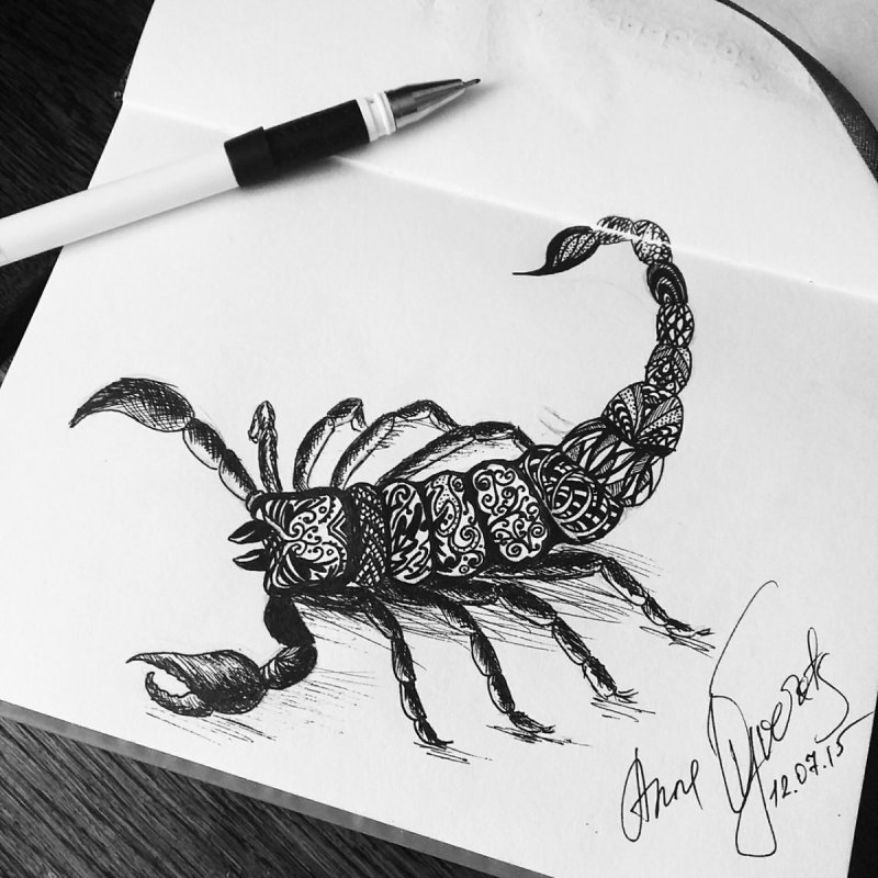 Скорпион рисунок карандашом