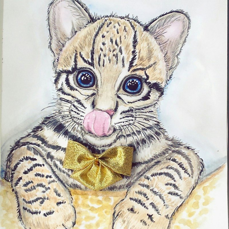 Оцелот мультяшный