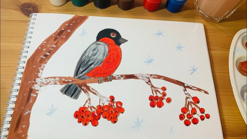 Рисование Снегирь на ветке