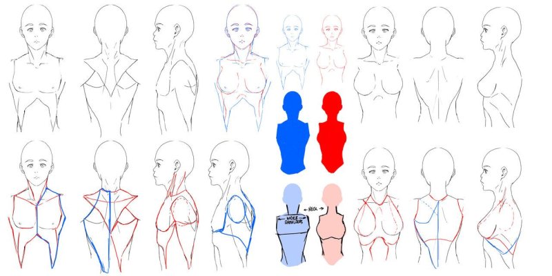Референсы для рисования