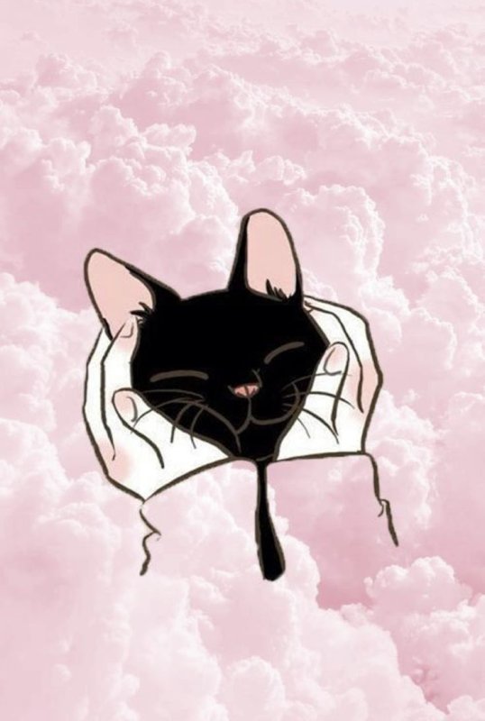 Кот арты