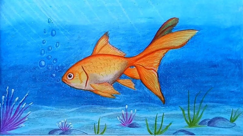 Золотая рыбка рисунок