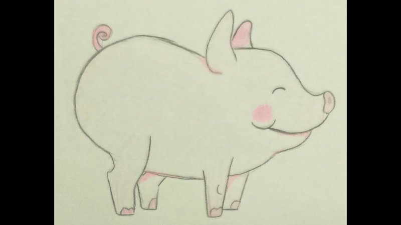 Свинья рисунок карандашом