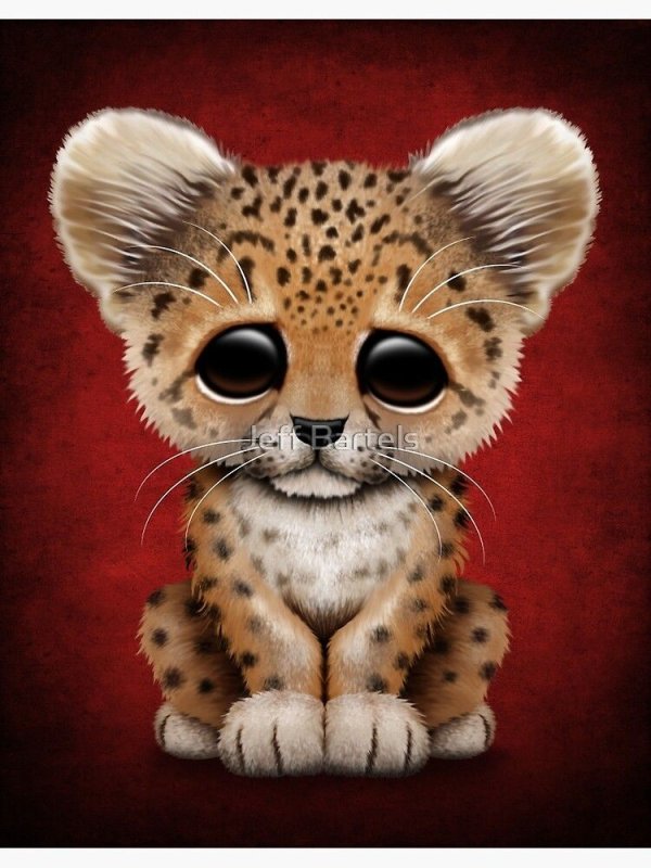 милые мультяшные животные