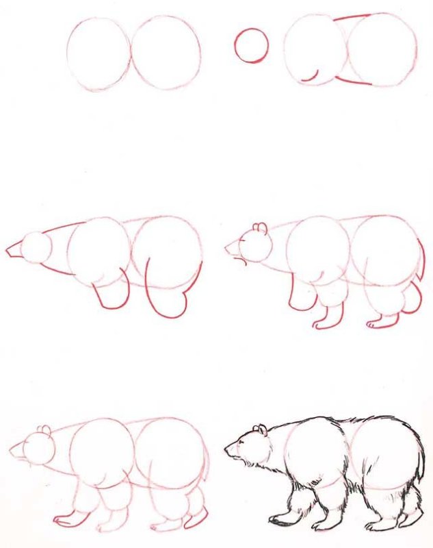Медведь рисунок карандашом