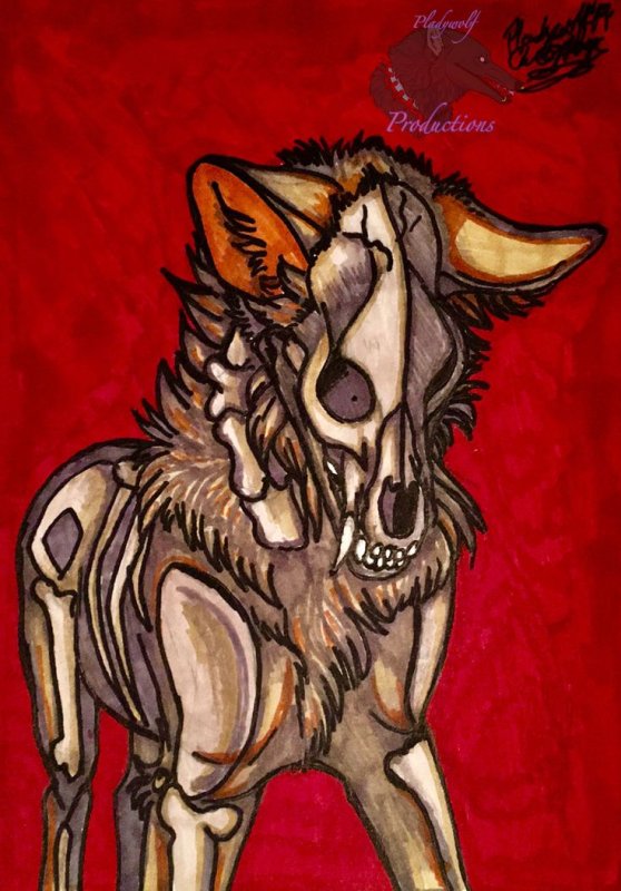 Фурри wingedwolf94