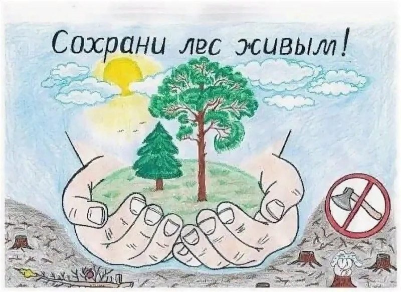 Плакат на тему охрана природы