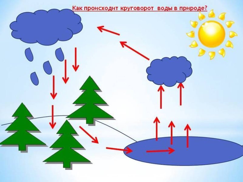 Круговорот воды