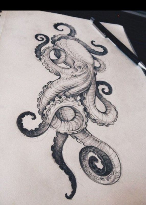 Осьминог Кракен осьминог Tattoo