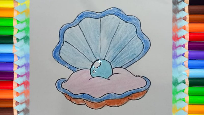 Жемчужина рисунок карандашом