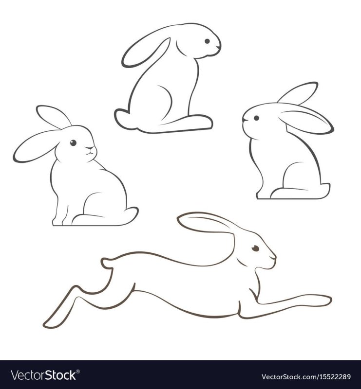 Заяц рисунок эскиз