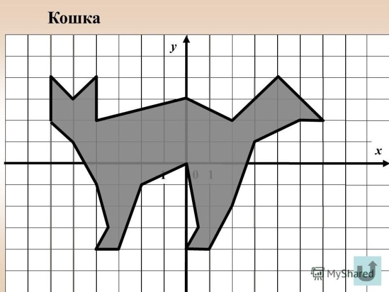 Рисунки с координатами