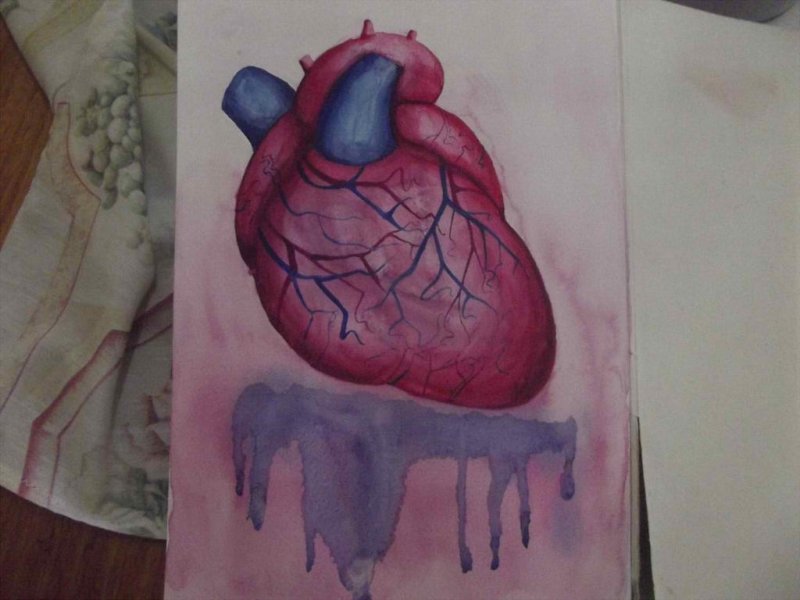 Сердце человека настоящее не нарисованное