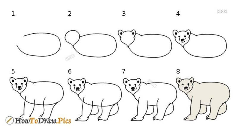Этапы рисования медведя