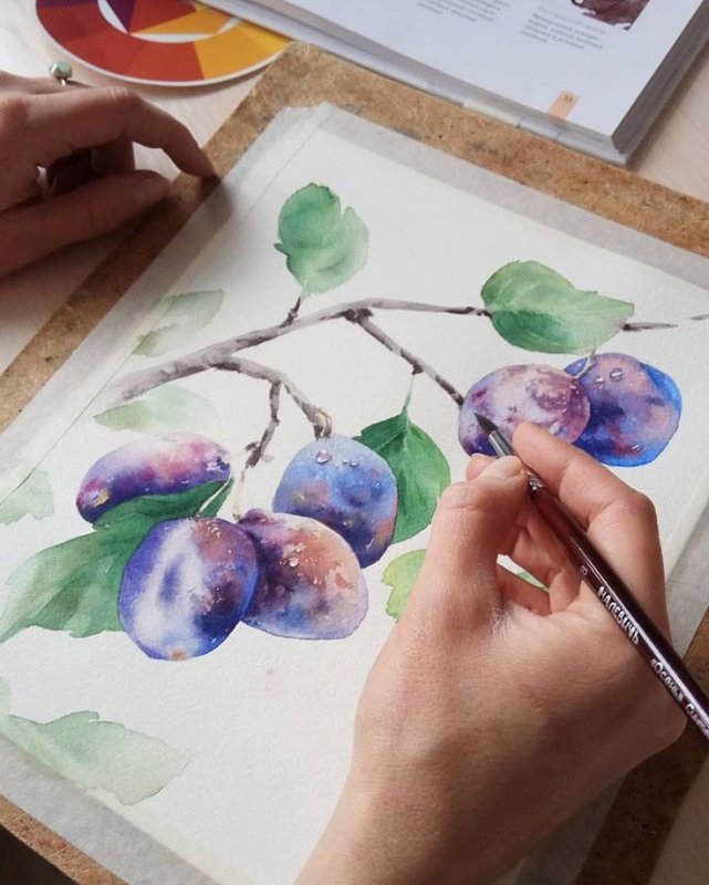 Акварельные рисунки