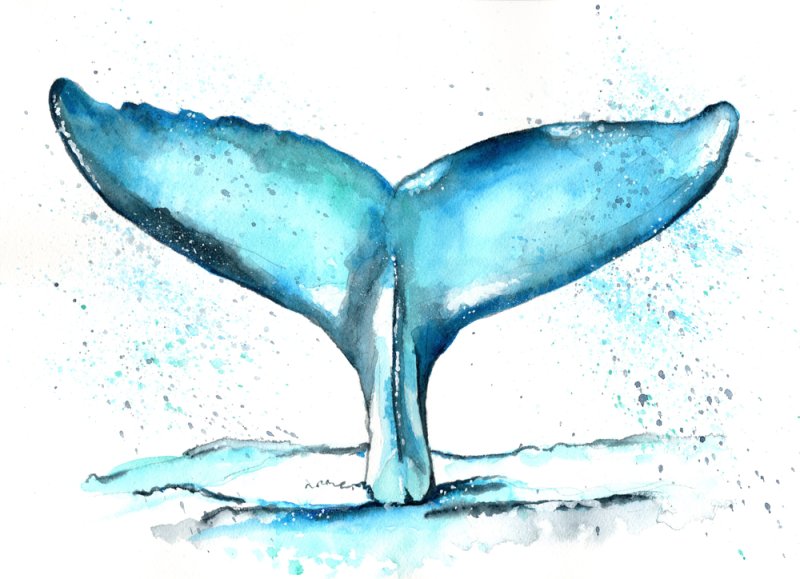 кит акварель