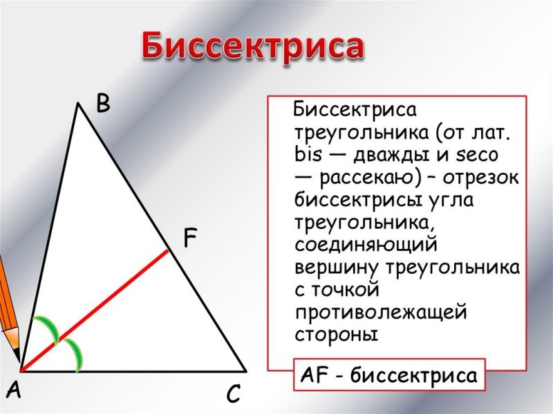 Биссектриса треугольника