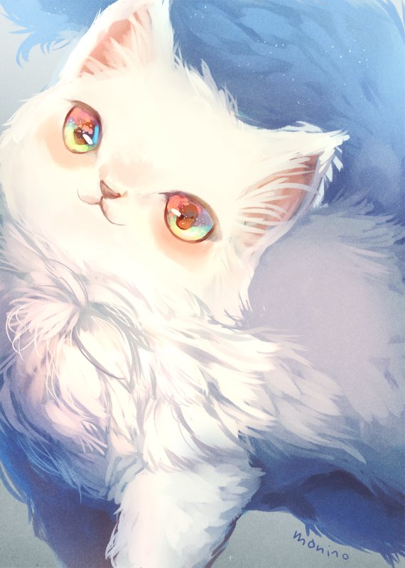 Котик арт