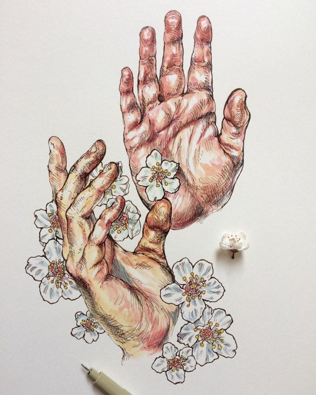 Эстетика рисунки