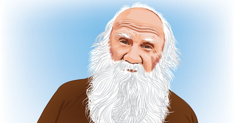 Толстой Лев Николаевич арт